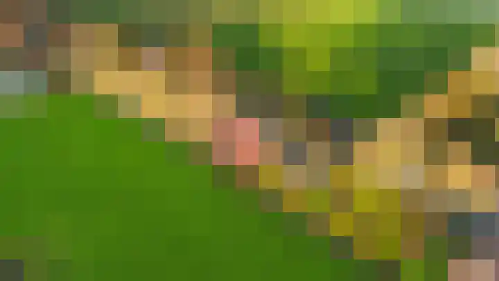 Oudendijk 65 Strijen