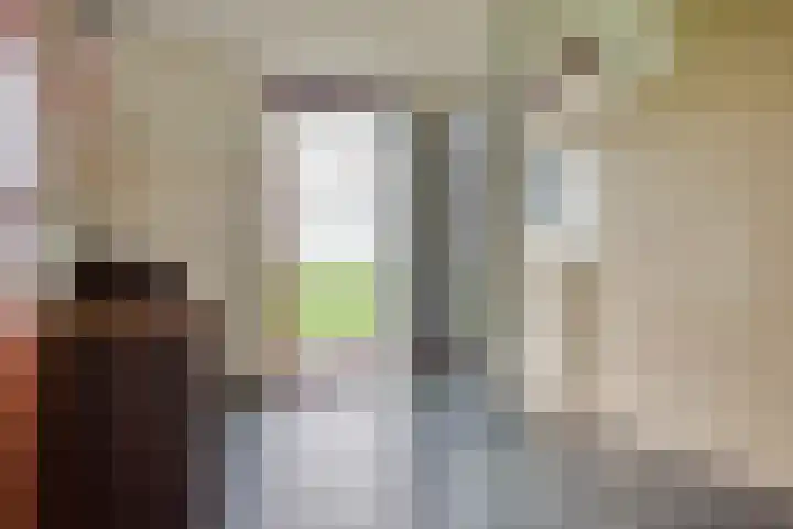Oudendijk 65 Strijen thumbnail 33