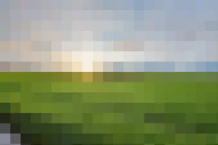 Oudendijk 65 Strijen thumbnail 38