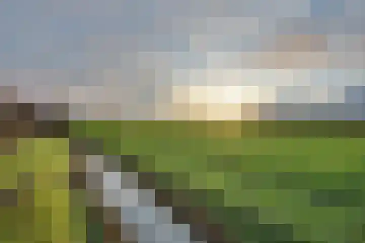 Oudendijk 65 Strijen thumbnail 41