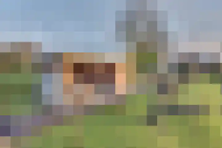 Oudendijk 65 Strijen thumbnail 42