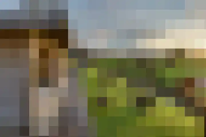 Oudendijk 65 Strijen thumbnail 43