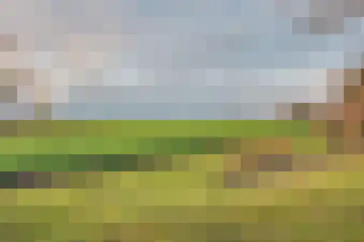 Oudendijk 65 Strijen thumbnail 47