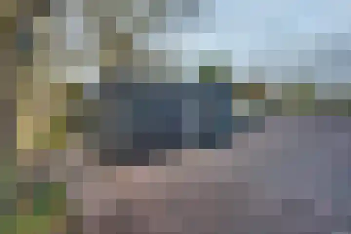 Oudendijk 65 Strijen thumbnail 48