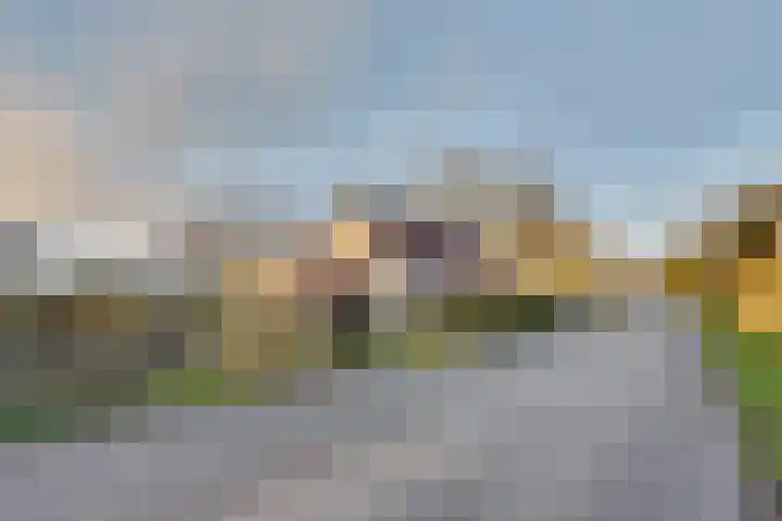 Oudendijk 65 Strijen thumbnail 5