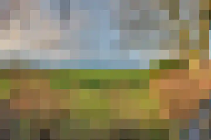 Oudendijk 65 Strijen thumbnail 6