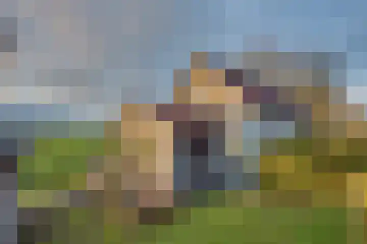 Oudendijk 65 Strijen thumbnail 8