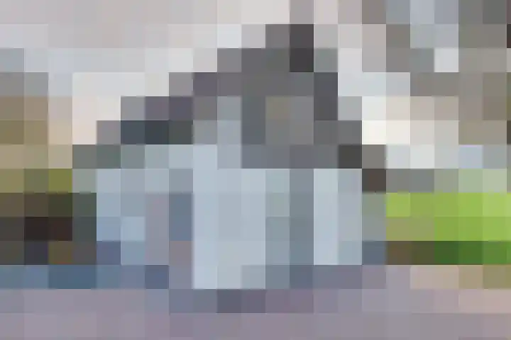 Oudendijk 65 Strijen thumbnail 9