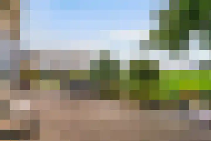 Oudendijkseweg 21 j Woubrugge thumbnail 30