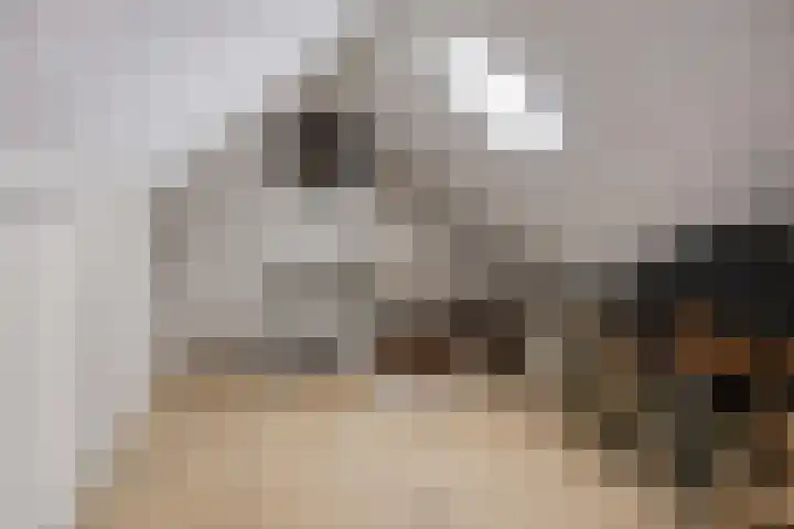 Oudendijkstraat 6 Kampen thumbnail 22