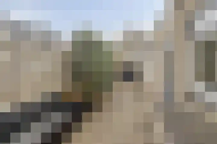 Oudendijkstraat 6 Kampen thumbnail 24