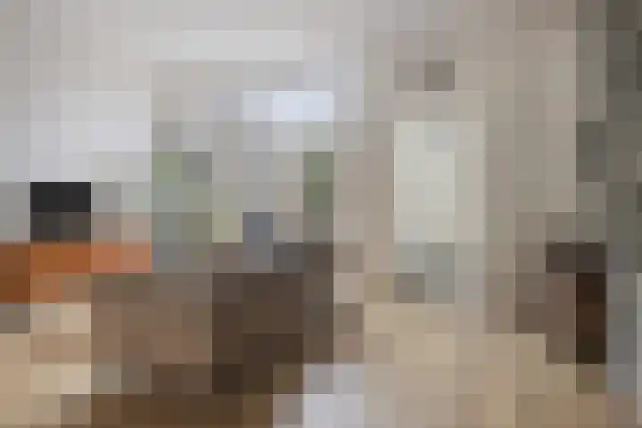 Oudendijkstraat 6 Kampen thumbnail 4