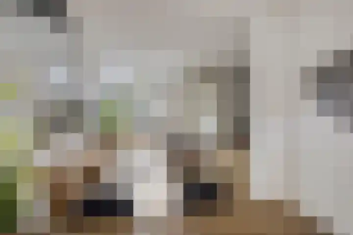 Oudendijkstraat 6 Kampen thumbnail 8