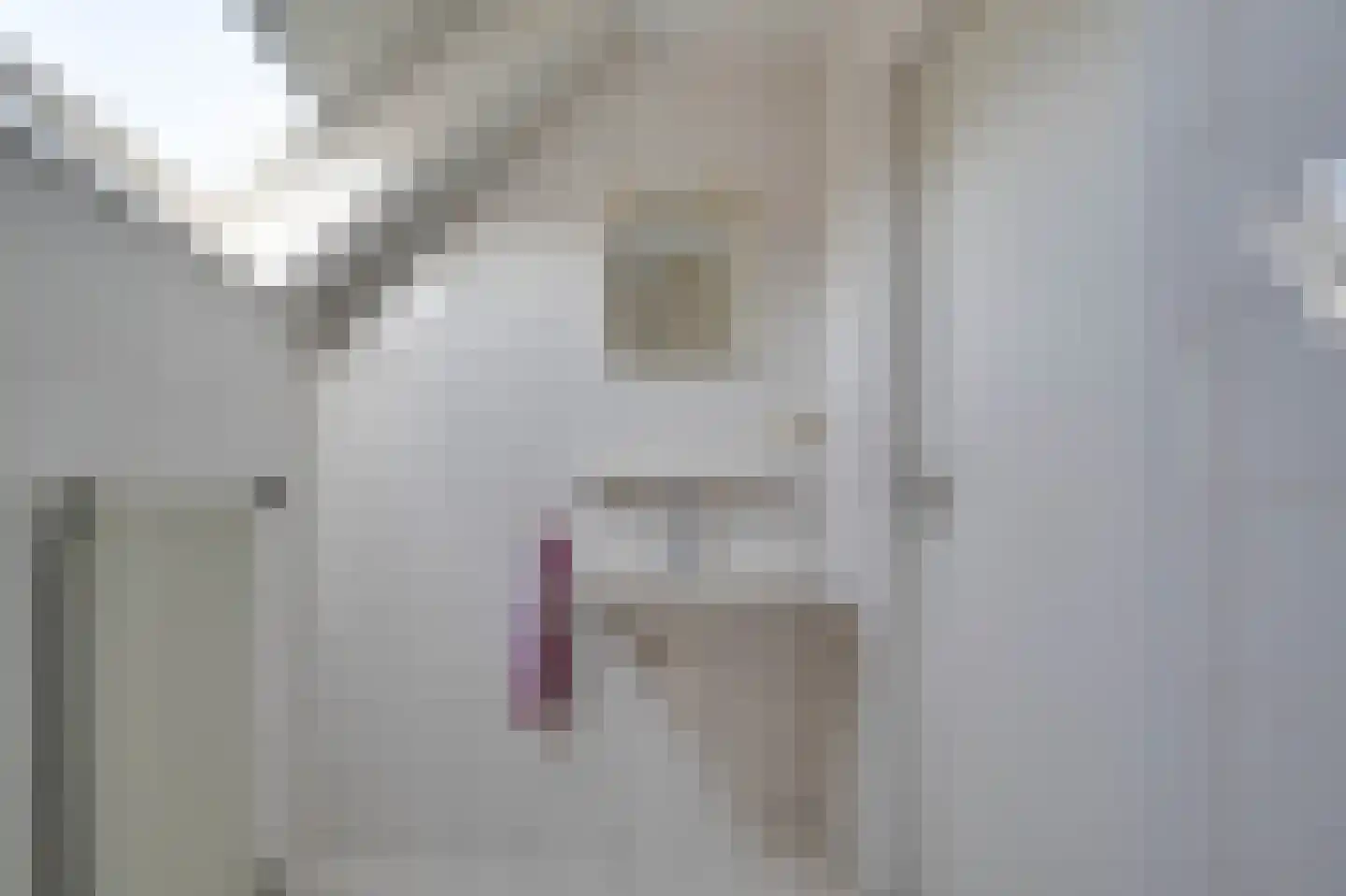 Oudenhil 14 Ouddorp thumbnail 32