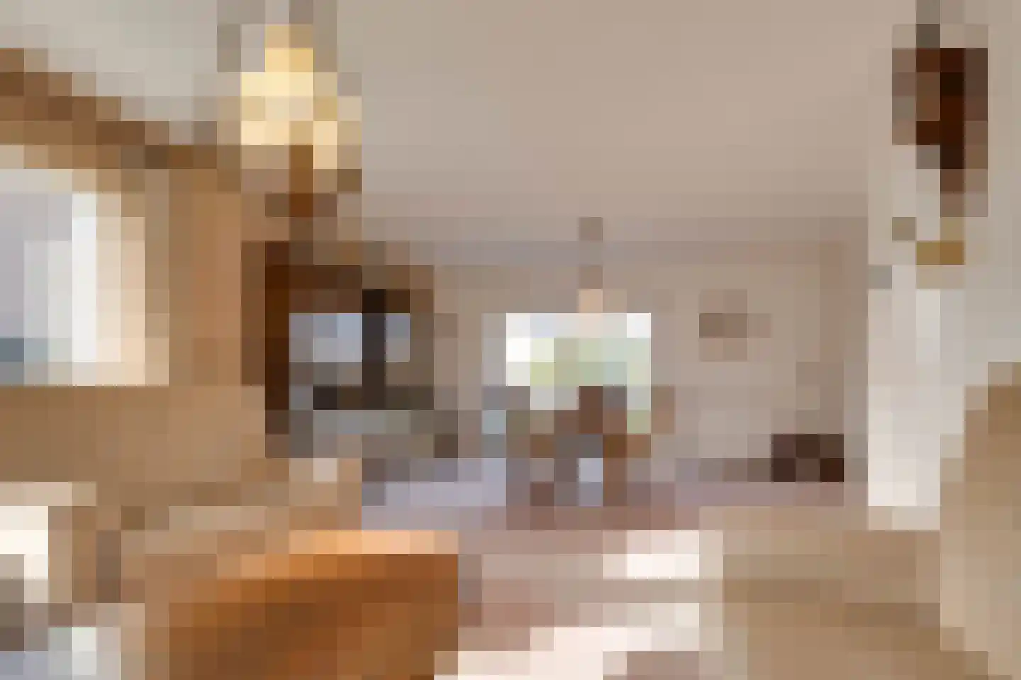 Oudenhil 14 Ouddorp thumbnail 5
