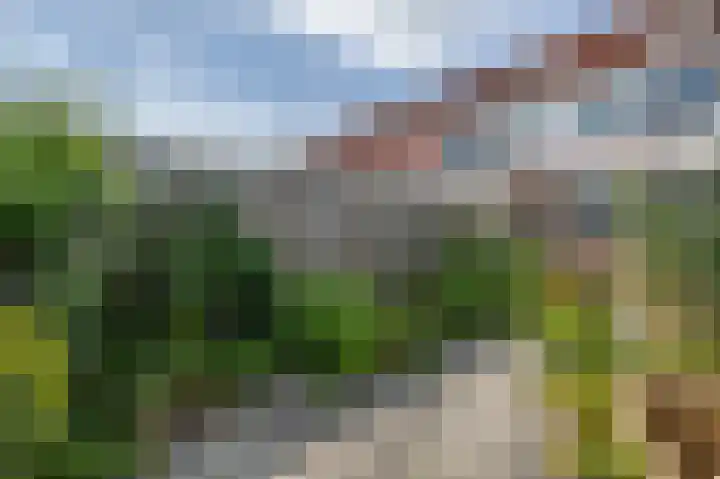 Oudenhil 5 Ouddorp thumbnail 29