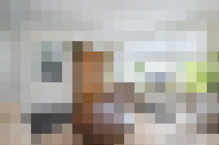 Oudenhil 5 Ouddorp thumbnail 8