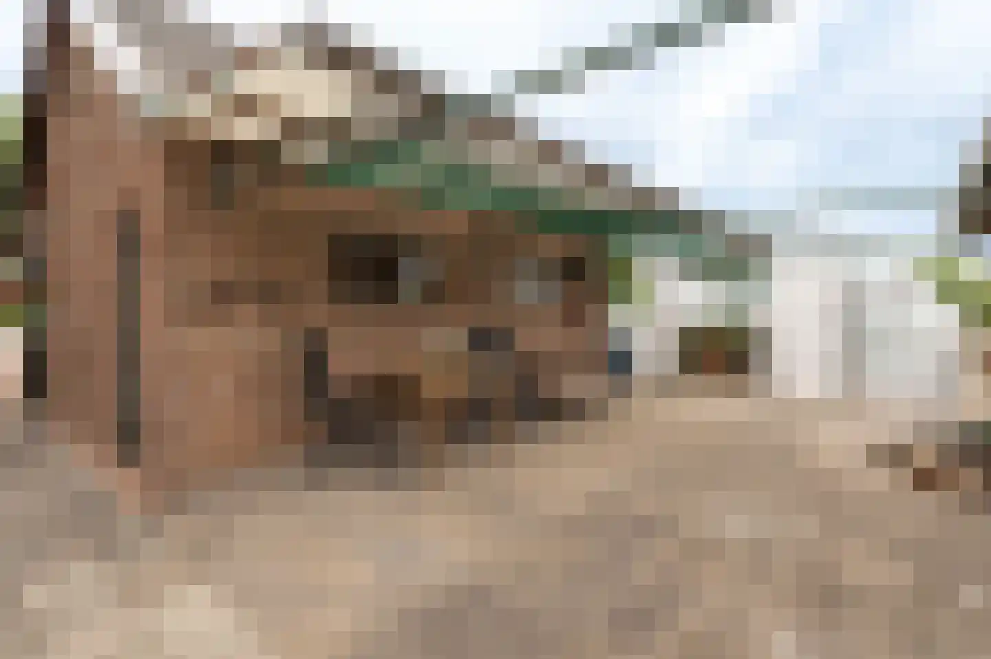 Oudenhof 22 Geldermalsen thumbnail 24