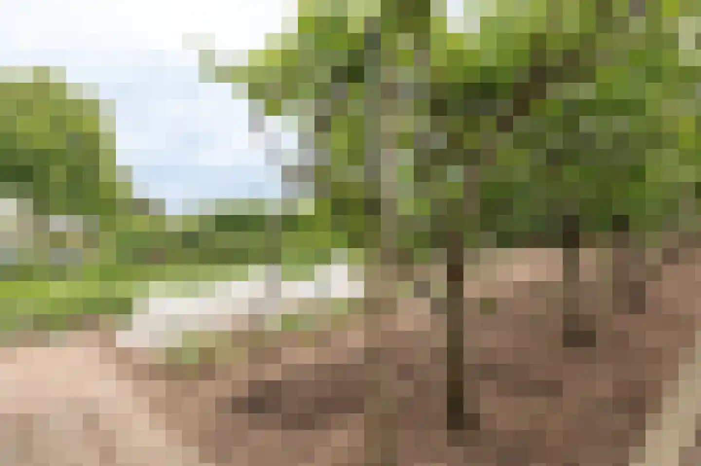 Oudenhof 22 Geldermalsen thumbnail 26
