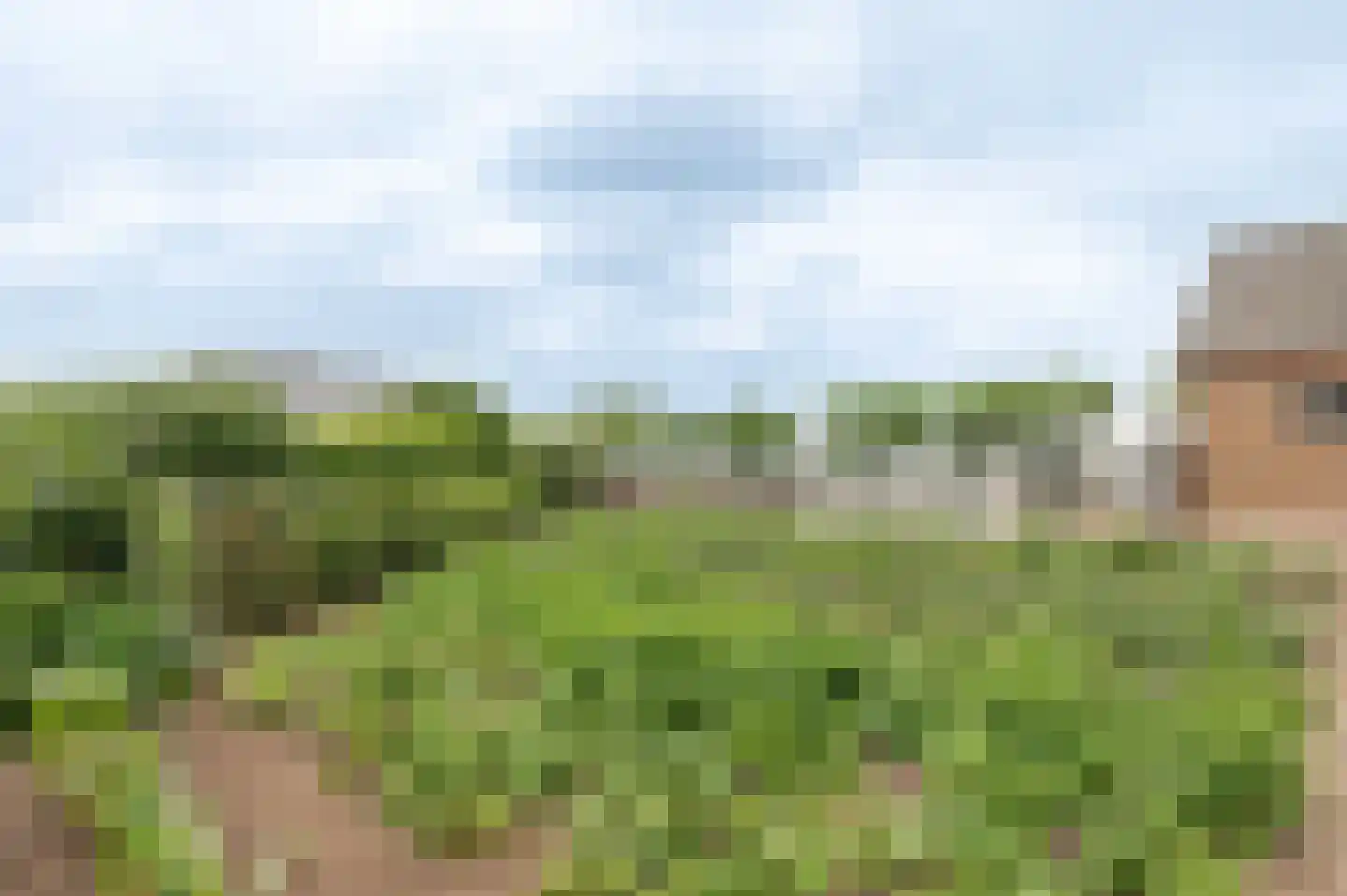Oudenhof 22 Geldermalsen thumbnail 27