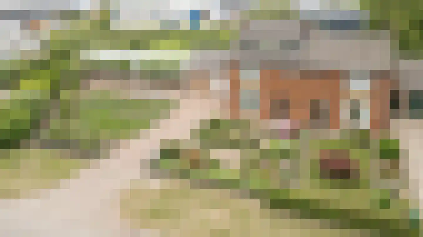 Oudenhof 22 Geldermalsen thumbnail 30