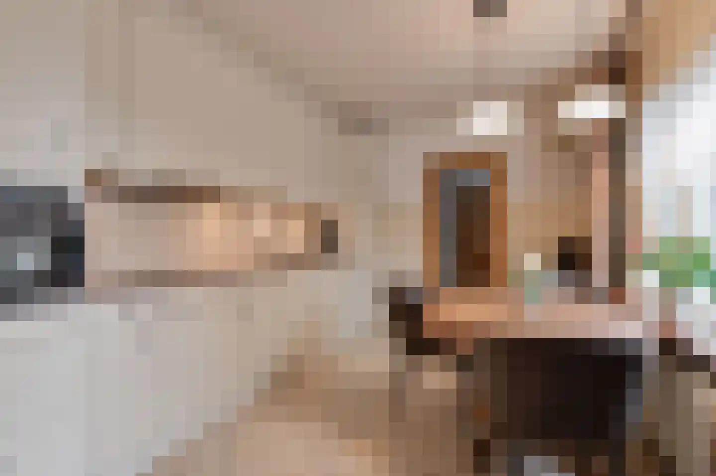 Oudenhof 22 Geldermalsen thumbnail 7