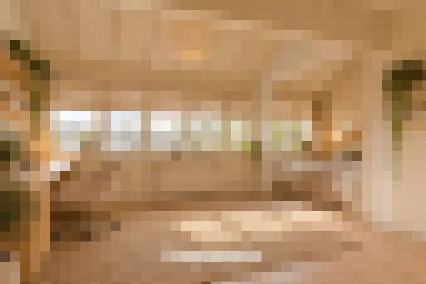 Oudenhoflaan 23 Oegstgeest thumbnail 10