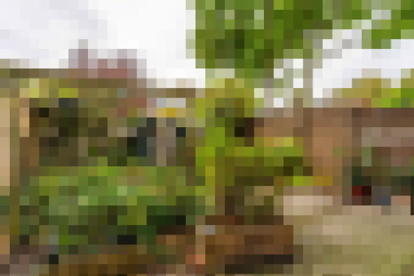 Oudenhoflaan 23 Oegstgeest thumbnail 44