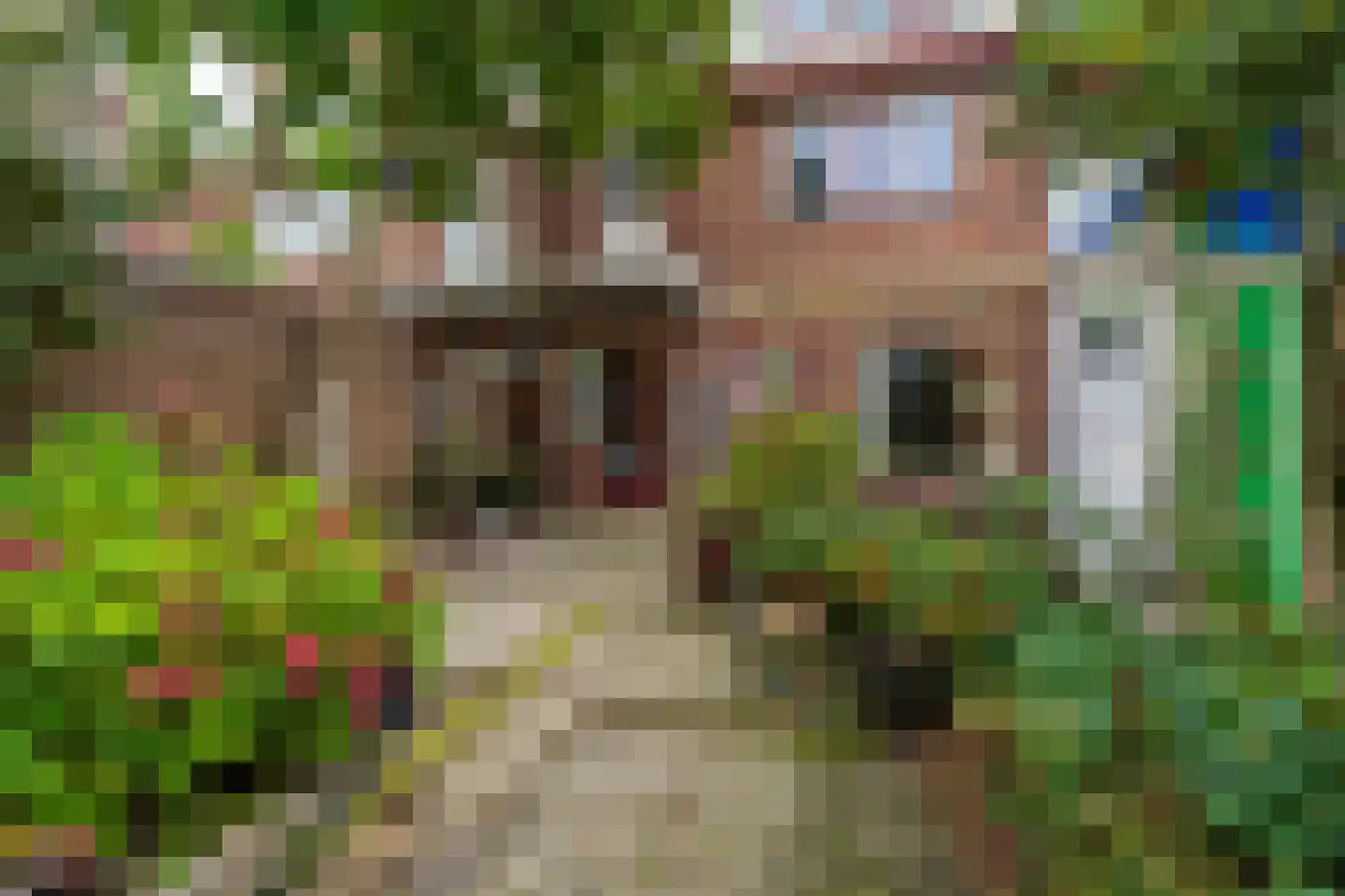 Oudenhoflaan 23 Oegstgeest thumbnail 47
