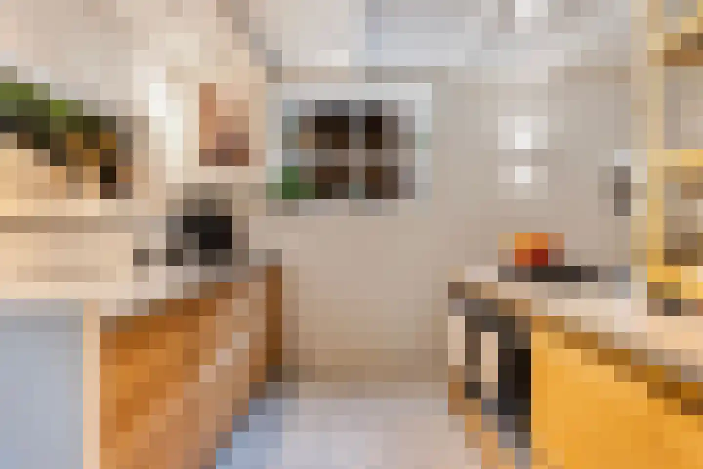 Oudenhovenstraat 1 Dordrecht thumbnail 38