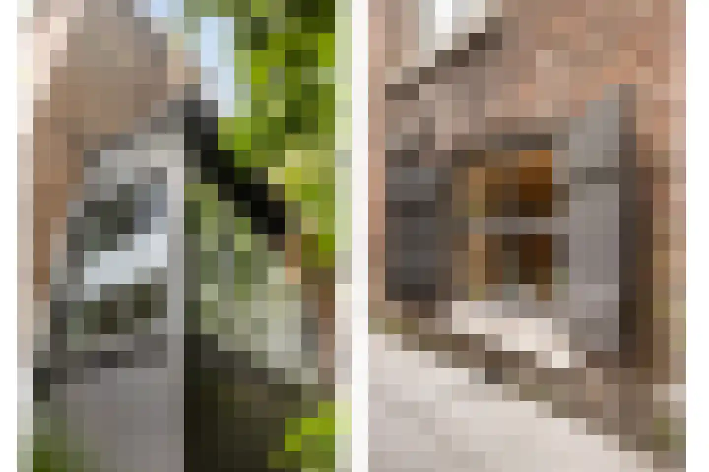 Oudenhovenstraat 1 Dordrecht thumbnail 42