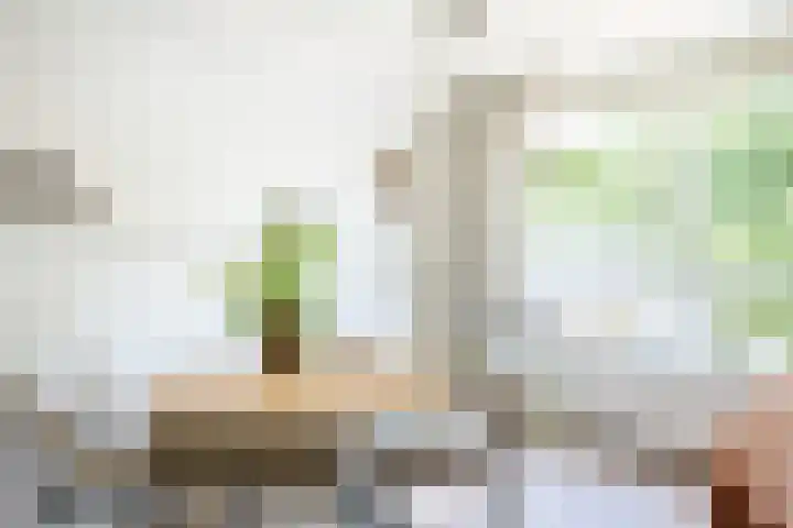 Oudenoord 132 Utrecht thumbnail 10