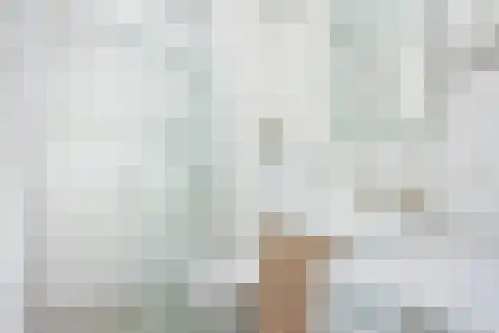Oudenoord 132 Utrecht thumbnail 14