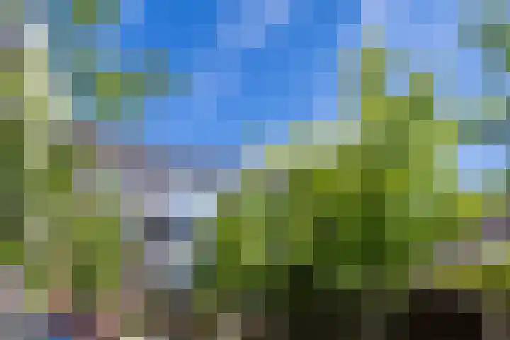 Oudenoord 132 Utrecht thumbnail 26
