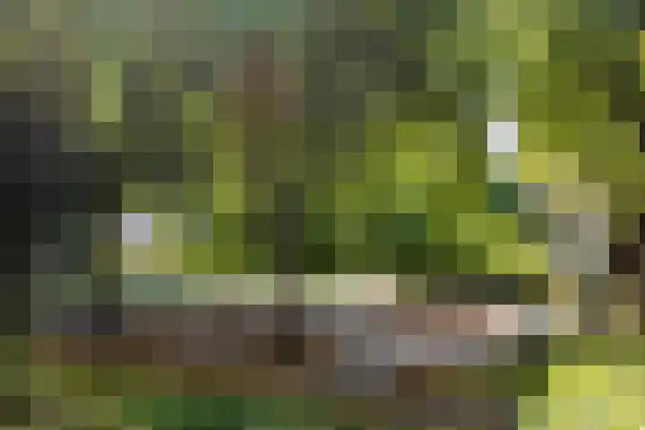Oudenoord 132 Utrecht thumbnail 27