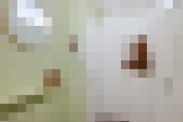 Oudenoord 132 Utrecht thumbnail 5