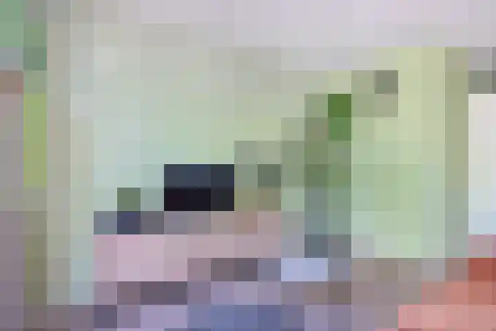 Oudenoord 132 Utrecht thumbnail 9