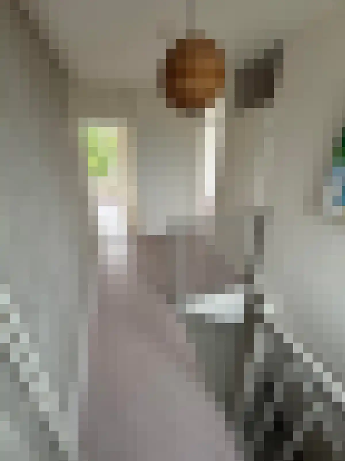 Oudenoord 150 Utrecht thumbnail 5