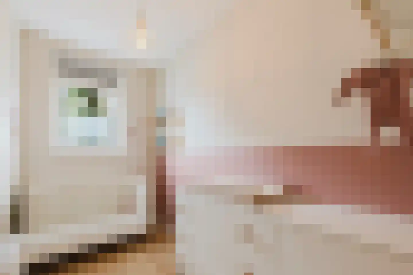 Oudenoord 327 Utrecht thumbnail 22