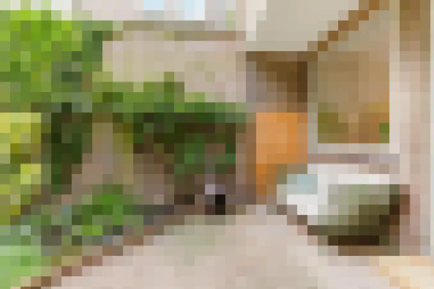 Oudenoord 327 Utrecht thumbnail 32