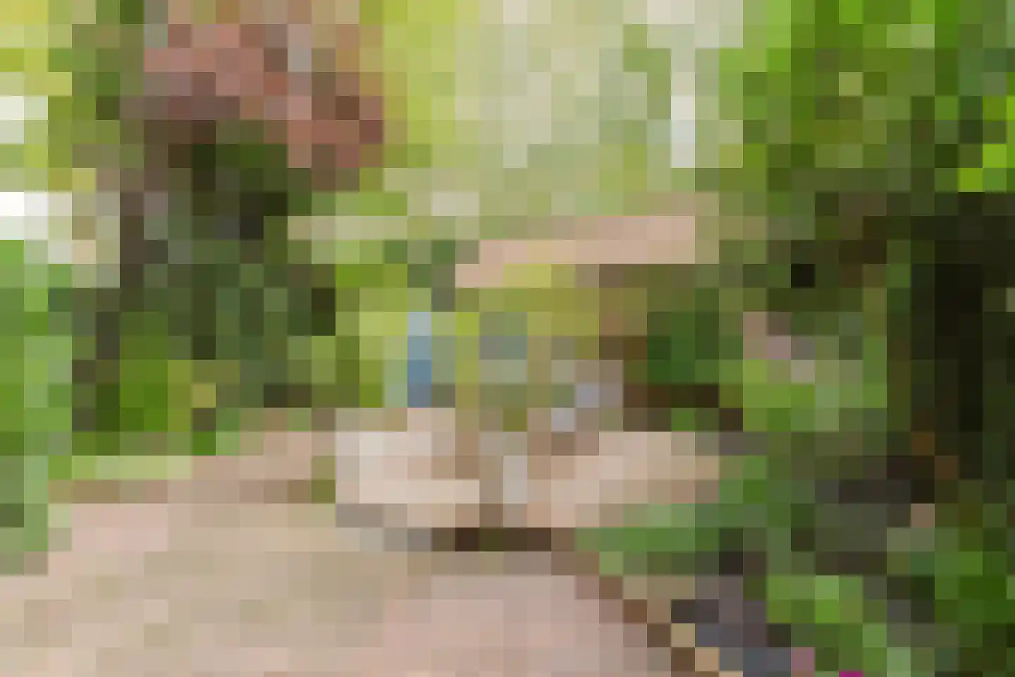 Oudenoord 327 Utrecht thumbnail 4