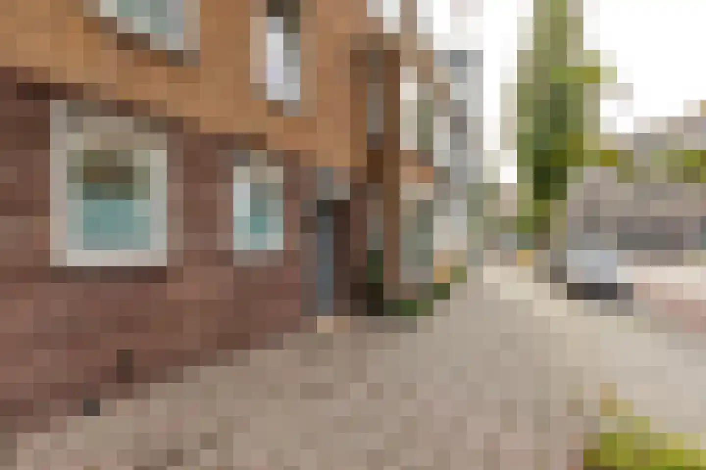 Oudenoord 327 Utrecht thumbnail 40
