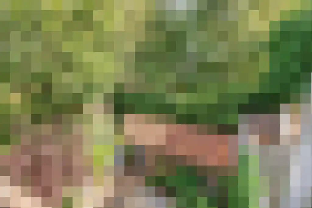 Oudenoord 333 Utrecht thumbnail 13