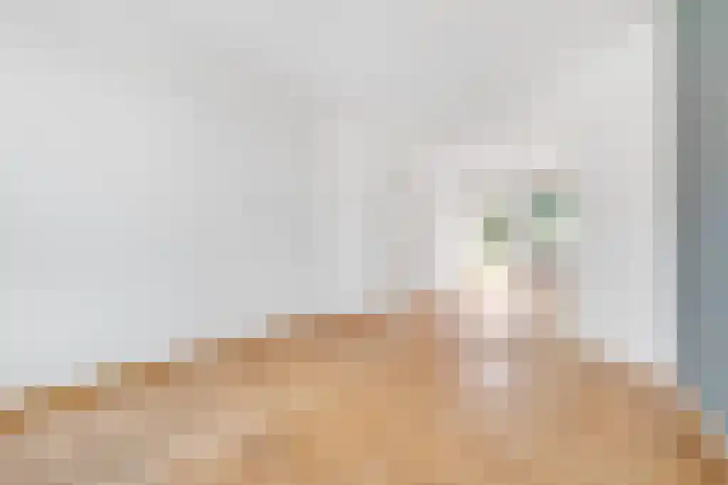 Oudenoord 333 Utrecht thumbnail 5