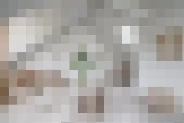Oudenoord 345 A Utrecht thumbnail 14
