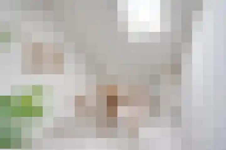 Oudenoord 345 A Utrecht thumbnail 19