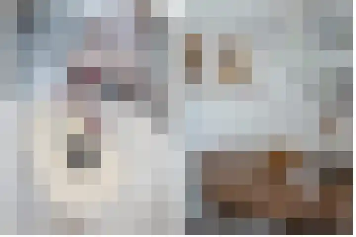 Oudenoord 345 A Utrecht thumbnail 20