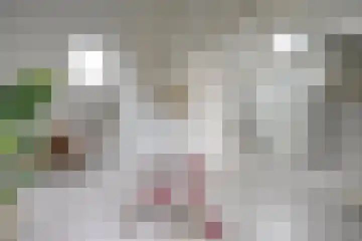 Oudenoord 345 A Utrecht thumbnail 22
