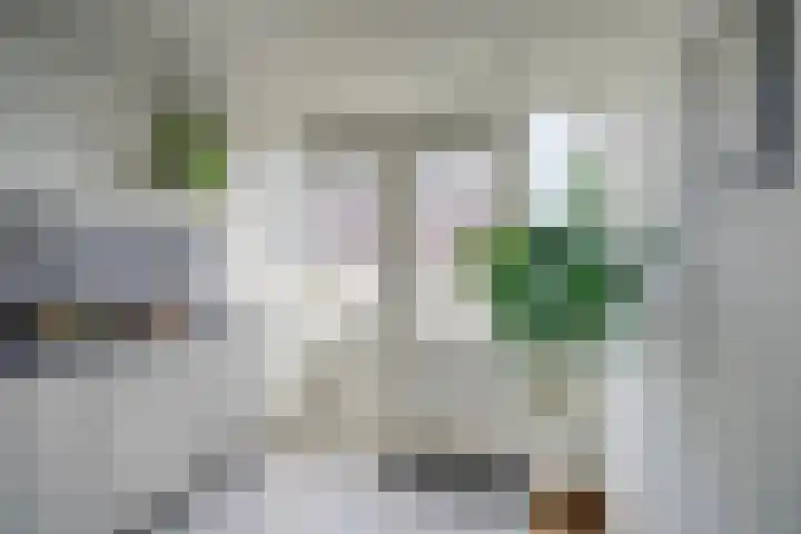 Oudenoord 345 A Utrecht thumbnail 24
