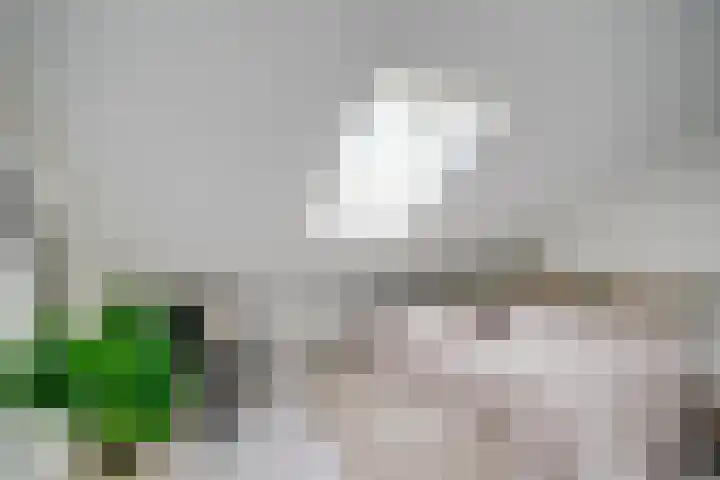 Oudenoord 345 A Utrecht thumbnail 33
